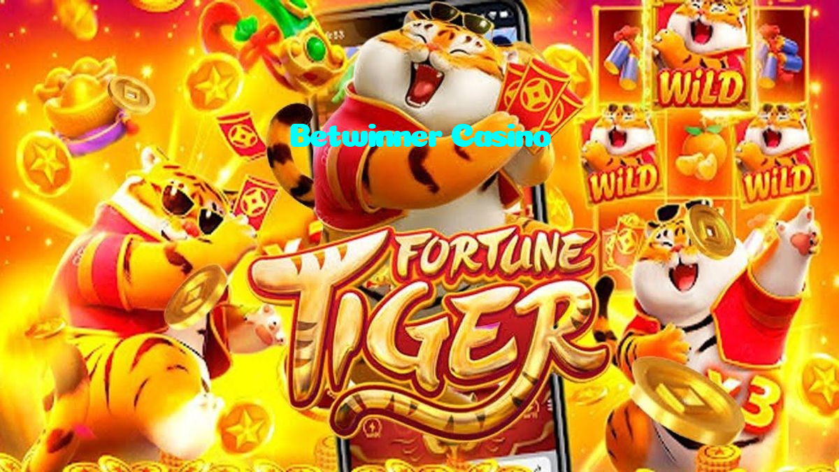 available types of Betwinner Casino bet including pre-match live express and system bets